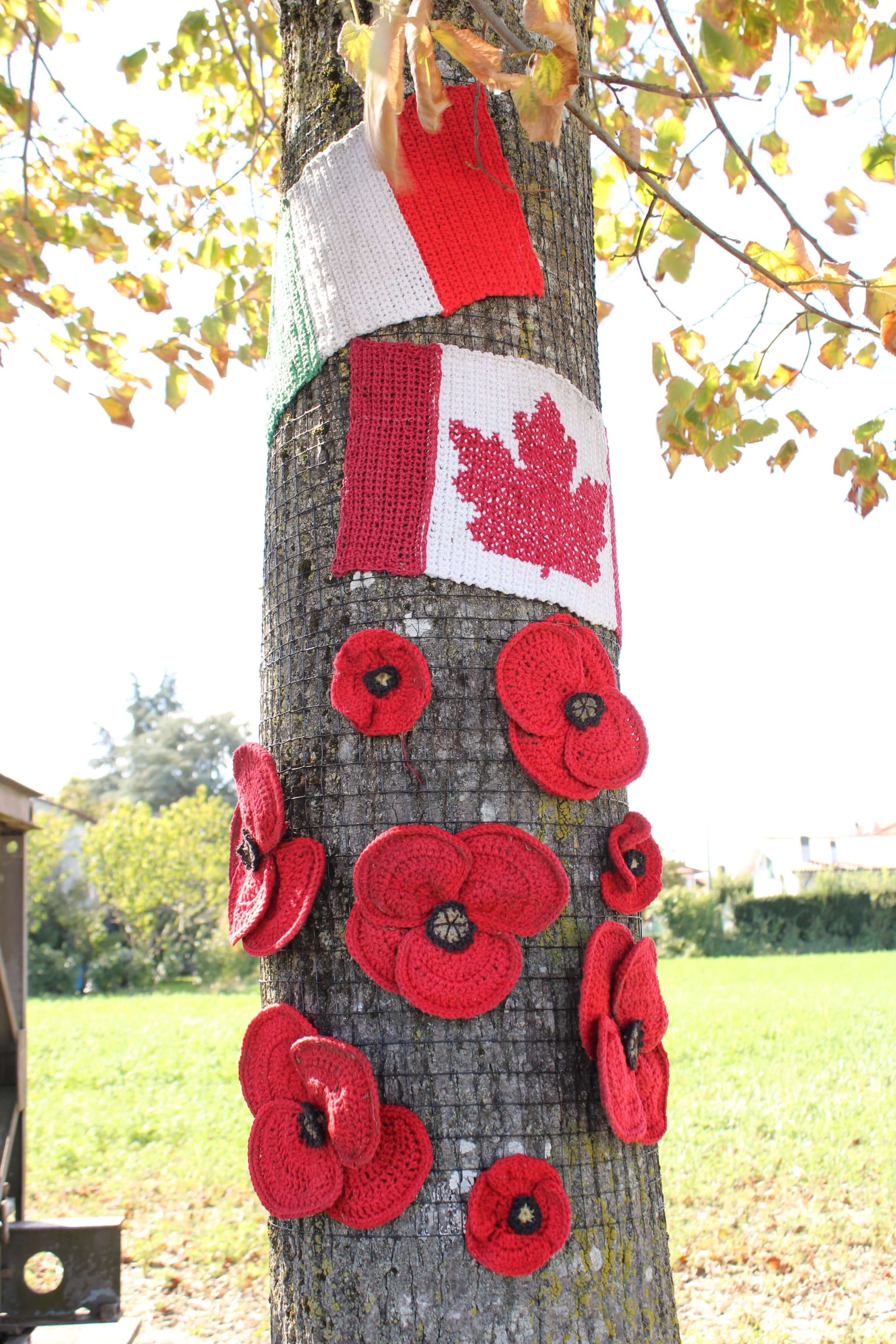 Handknit flags and poppies on a tree