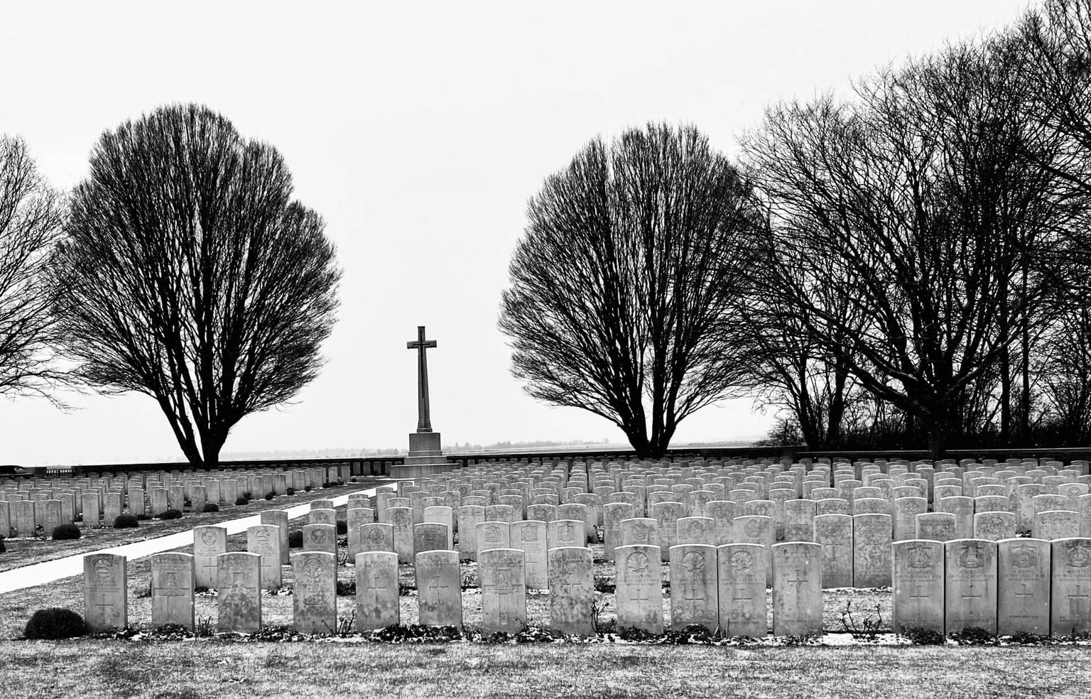 arras bw