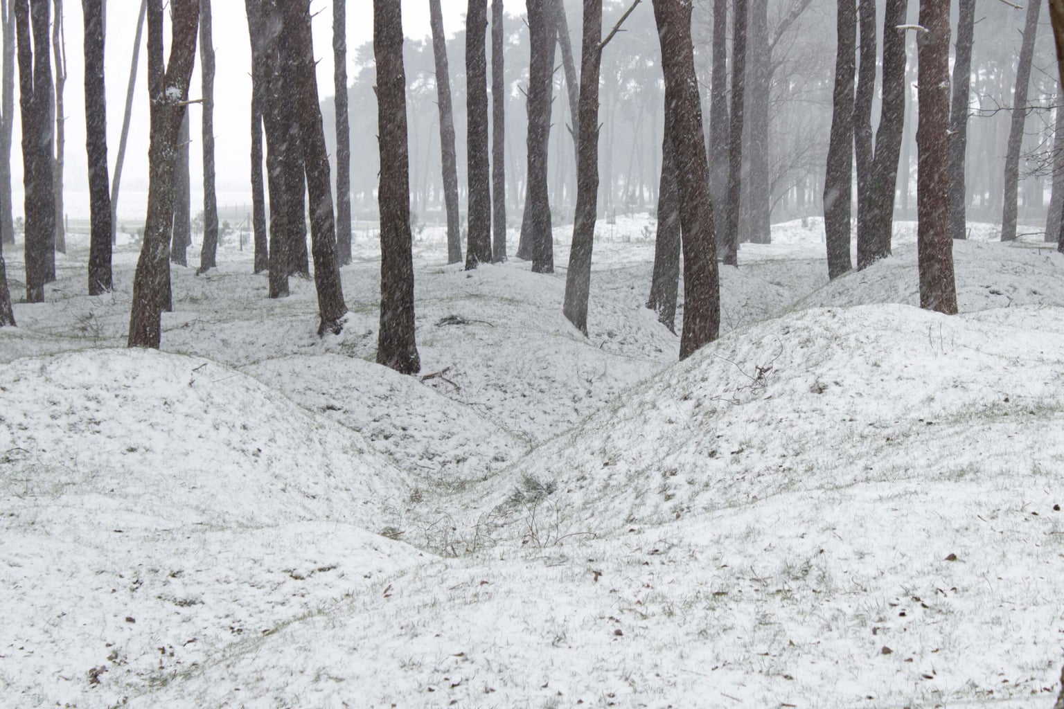 snow