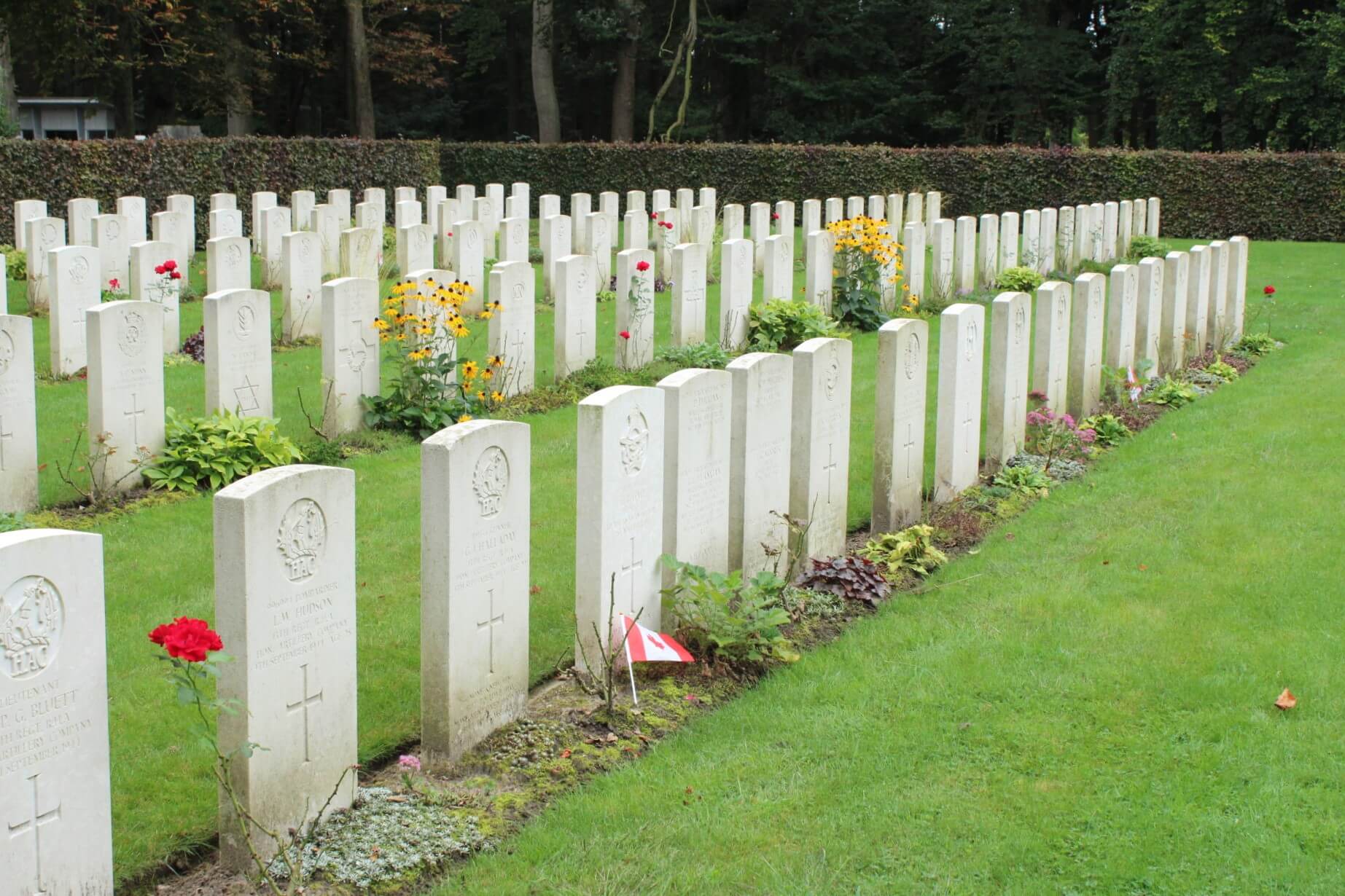 angle grass graves