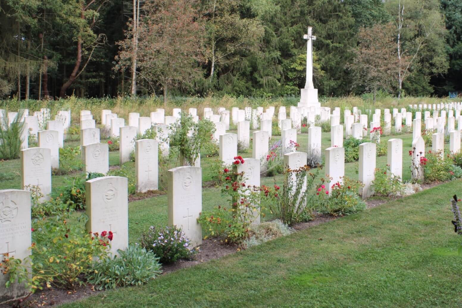 graves angle